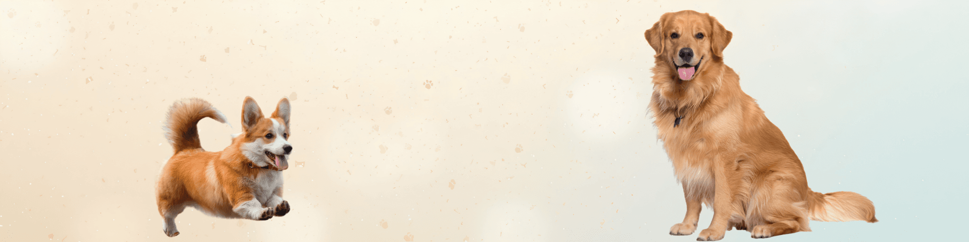 Banner background